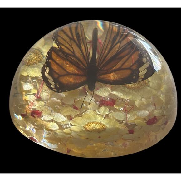 Real Preserved Monarch Butterfly Resin Flower Dome Paperweight 4” X 2” - Picture 6 of 7
